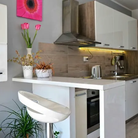 Apartment Kristina Murter